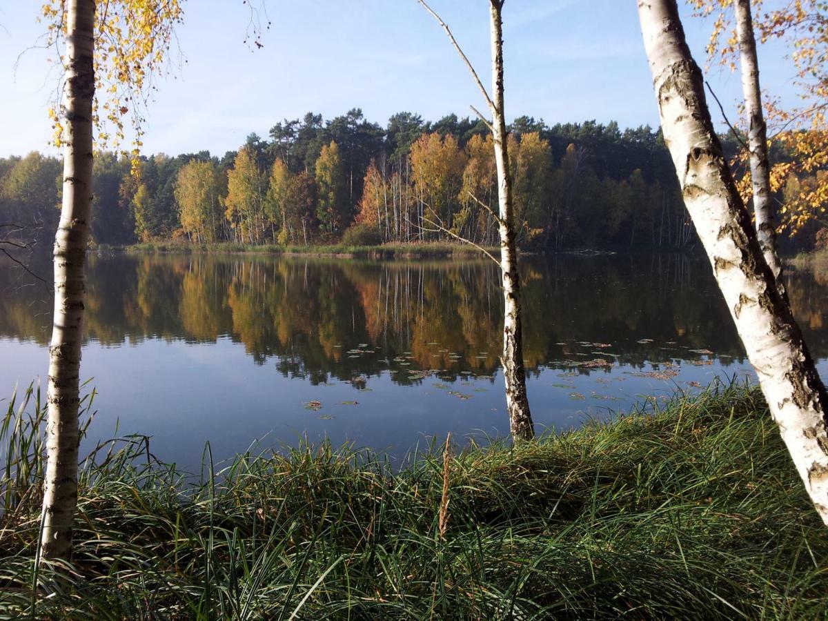 Seeblick III Bad Saarow Εξωτερικό φωτογραφία